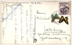 Reichenau, Baumgartnerhaus