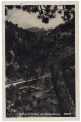 Reichenau, Höllental mit Schneeberg