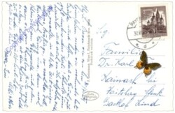 Rohr im Gebirge, mit Unterberg