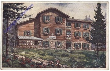 ak171576 Schaueregg, Hallerhaus am Wechsel