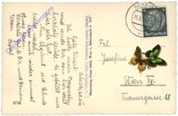 Scheibbs, Ortsansicht