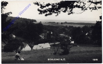 Schleinz, Ortsansicht