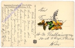 Puchberg, Sanatorium Strengberg