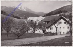 Puchberg, Kurhaus Strengberg