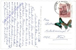 Puchberg, Urlauberhaus Strengberg