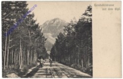 St. Aegyd am Neuwalde, Kernhofer-Straße mit dem Gipl