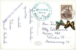 St. Corona, Karl Puzandl's Hotel Wien
