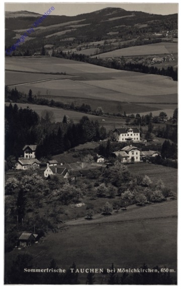 Tauchen bei Mönichkirchen, Ortsansicht