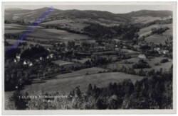 Tauchen bei Mönichkirchen, Ortsansicht