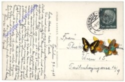 Tauchen bei Mönichkirchen, Ortsansicht