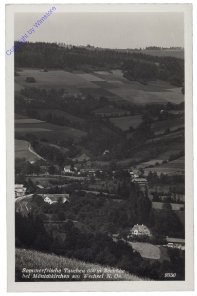 Tauchen bei Mönichkirchen, Ortsansicht