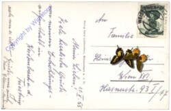 Triestingtal, Multiansicht