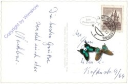 Weissenbach a.d. Triesting, Ortsansicht