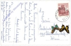 ak171763a Wienerbruck, Ansicht