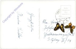 Willendorf, Ortsansicht