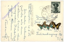 Kitzbühel, mit dem Wilden Kaiser