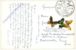 Kitzbühel, m. Kaiser