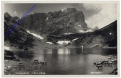 Münster, Zireinersee