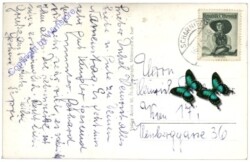 Scharnitz, Karwendelhaus mit Ödkar u. Birkkarspitze