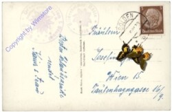 Sölden, Zuckerhütl-Wilder Pfaff