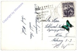 Steeg, mit ewiger Wand