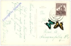 St. Jakob im Defereggental, Forellenhof