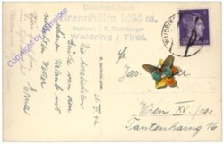 Waidring, Blick auf Loferer