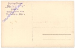 ak172114a Waidring, Alpengasthaus Steinplatte