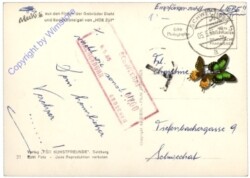 Mecki 0021: Bitte recht freundlich!