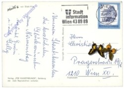 Mecki 0306: Mit Liebe wieder gutgemacht