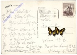 Mecki 0308: Alles Glück auf Erden