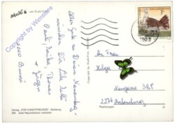 Mecki 0308: Alles Glück auf Erden