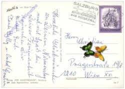 Mecki 0316: Der Anfang ist so schwer!