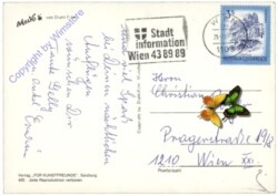 Mecki 0405: Herzlichen Glückwunsch zum Namenstag