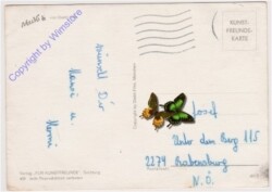 Mecki 0409: Ein dreifach Hoch"