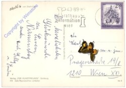 Mecki 0414: Vati kann alles