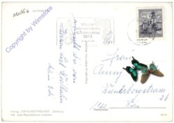 Mecki 0418: Die herzlichsten Glückwünsche!