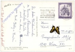 Mecki 0426: Die Liebe geht durch den Magen