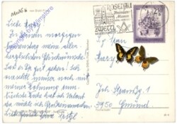 Mecki 0427: Glückliche Stunden