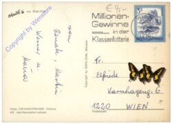 Mecki 0429: Herzlichen Geburtsgruß