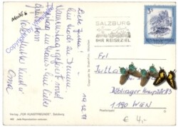 Mecki 0443: Alle lieben Wünsche ...
