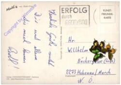 Mecki 0470: Der richtige Jahrgang