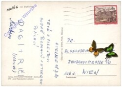 Mecki 0479: Der Glückspilz