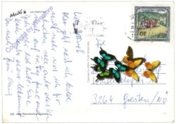 Mecki 0506: Bunt ist die Welt ...