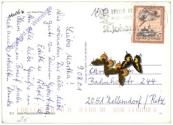 Mecki 0511: Alles Liebe zum Geburtstag