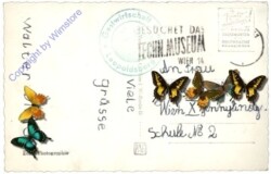 Wien, Panorama von der Höhenstrasse