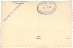 Wien 1, Stephansdom, 500 Jahre