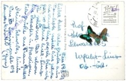 Wien 4, Karlskirche