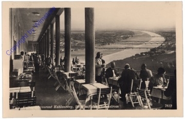 ak172760 Wien 19, Kahlenberg, Blick auf den Donaustrom