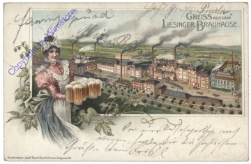 Wien 23, Gruss aus dem Liesinger Brauhaus
